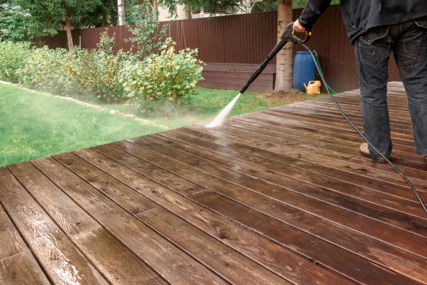 Animal Enclosure Cleaning in Albertville, AL