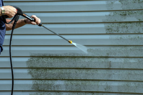 Best Roof Washing  in Bertville, AL